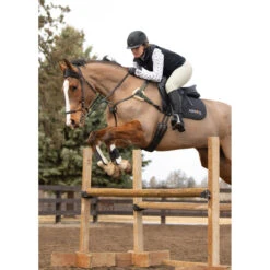 Kerrits Women's 3-Season Tailored Knee Patch Breech 12 Kerrits Women's 3-Season Tailored Knee Patch Breech -Equinora Fashion Shop Kerrits 40681P Sand IRL