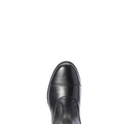 Ariat Women's Nitro Max Tall Riding Boot -Equinora Fashion Shop S20 WMS ENGL Couto 10031676 toe