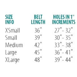 Perri's Padded Leather Belt 11 Perri's Padded Leather Belt -Equinora Fashion Shop belt size chart 00294.1588165726.1280.1280