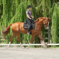 Kerrits Women's Crossover II Full Seat Breech -Equinora Fashion Shop black3 68735.1581518814.1280.1280 ee0169b4 275f 4e97 9c76 48ce457233a0