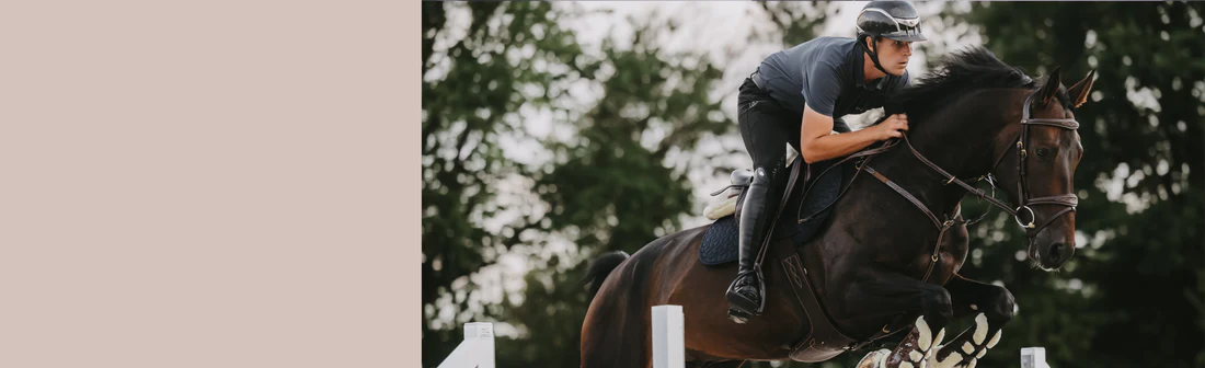 Equinora Fashion Shop -Equinora Fashion Shop Homepage Banner 849c539f fa52 4d2e 919d 0228621df506